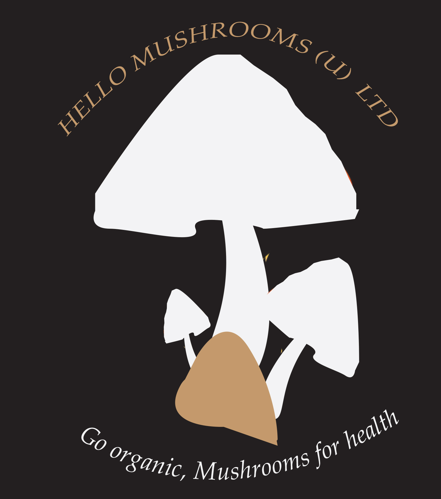 Hello Mushrooms Logo